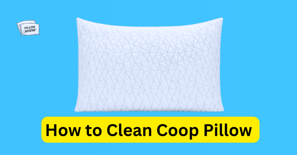 How to Clean Coop Pillow: Here's the Ultimate Guide